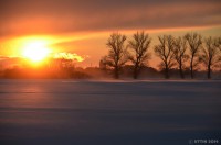 /album/photo-gallery-silhouette/%e6%97%a5%e3%81%ae%e5%87%ba%e3%80%80%e9%ad%85%e3%81%9b%e3%82%89%e3%82%8c%e3%81%a6%e3%83%bb%e3%83%bb%e3%83%bb-jpg/